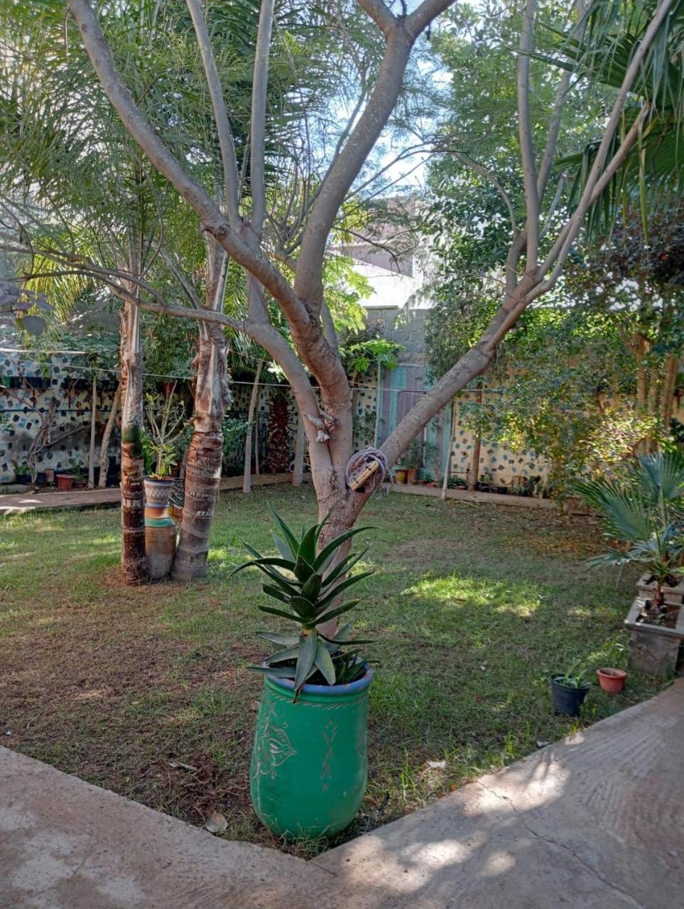 Targante Takate 1 Appartement Sidi Bibi