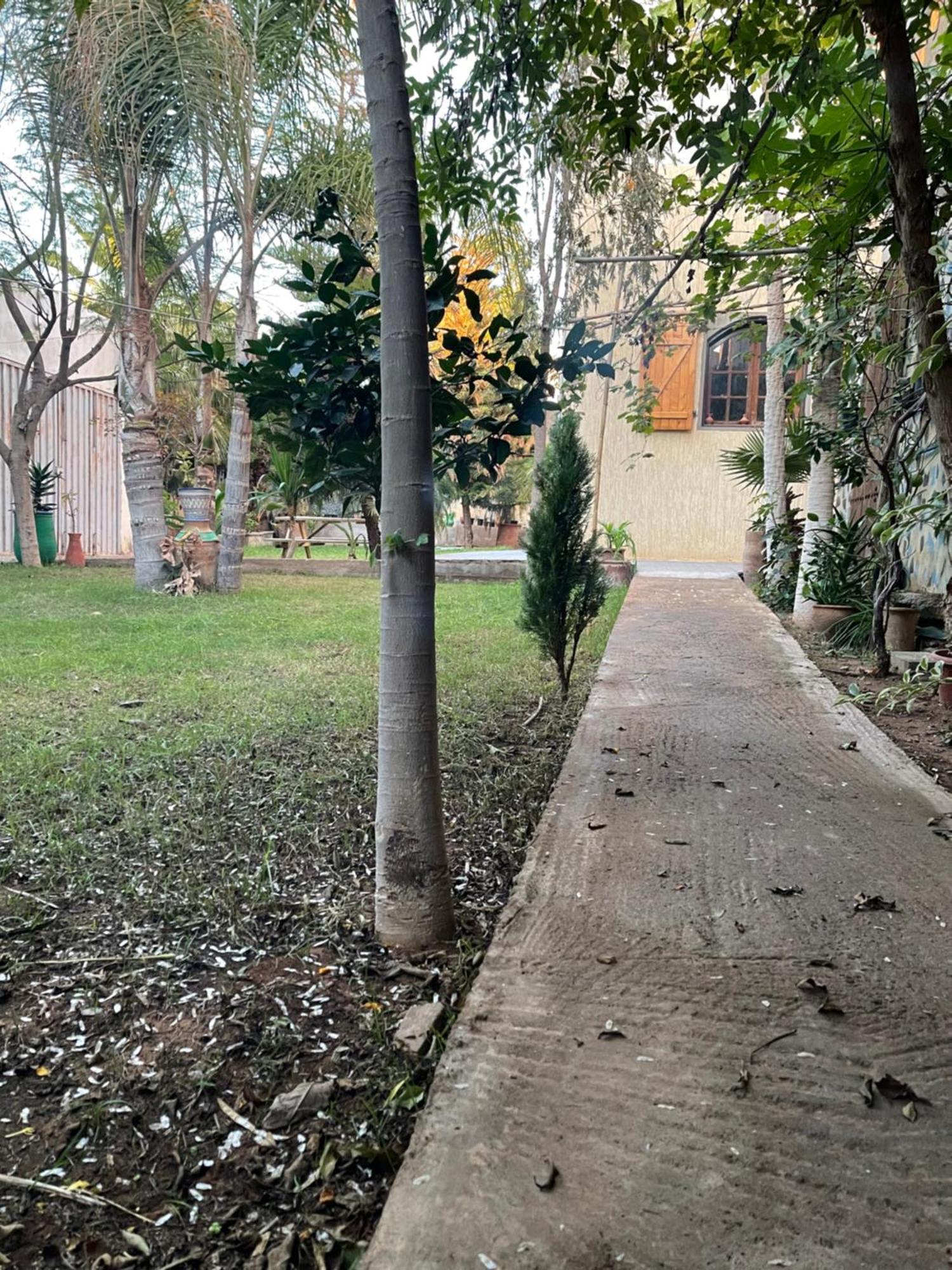 Targante Takate 1 * Sidi Bibi